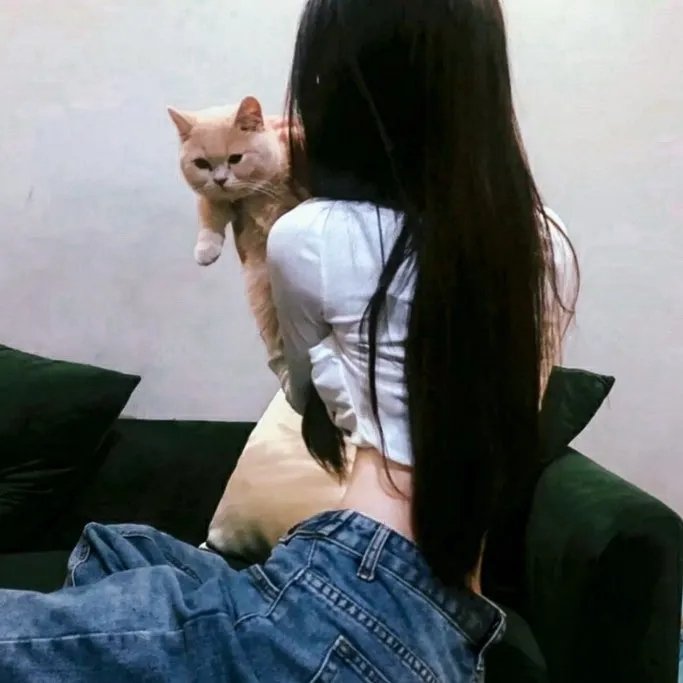 旗舰